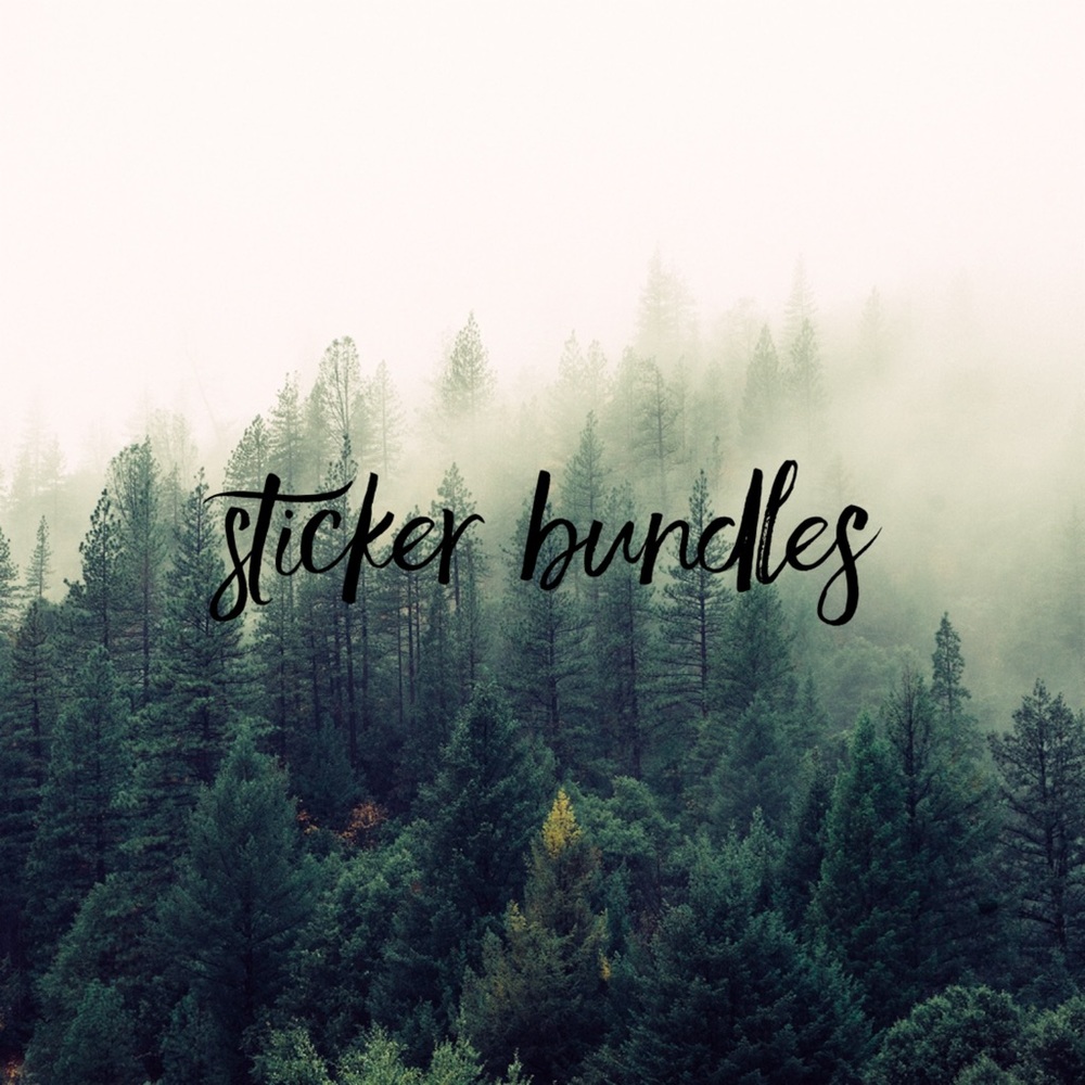 Brandy Melville sticker bundle